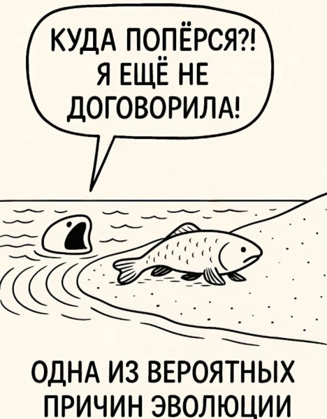 Мем, immar