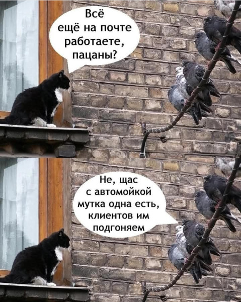 Мем, Анекдотчик