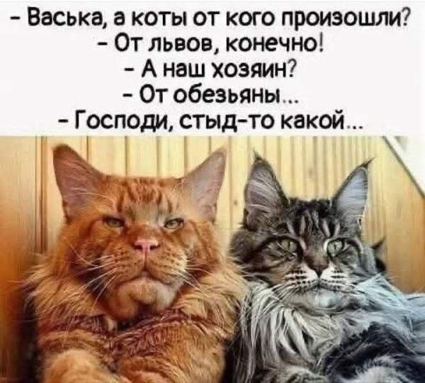 Мем, Анекдотчик
