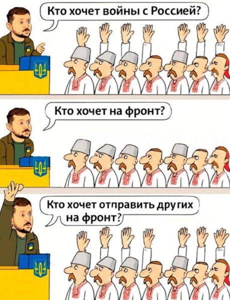 Мем, Максим Камерер