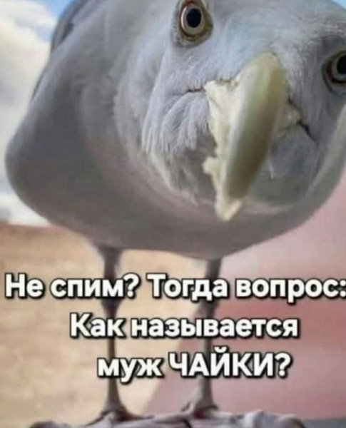 Мем, Jonas