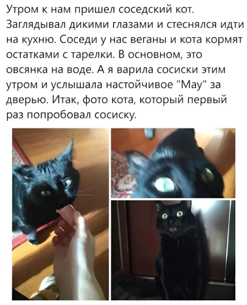 Мем, Смехалка Мем, Смехалка
