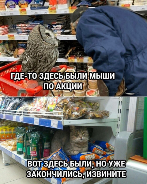 Мем, Смехалка