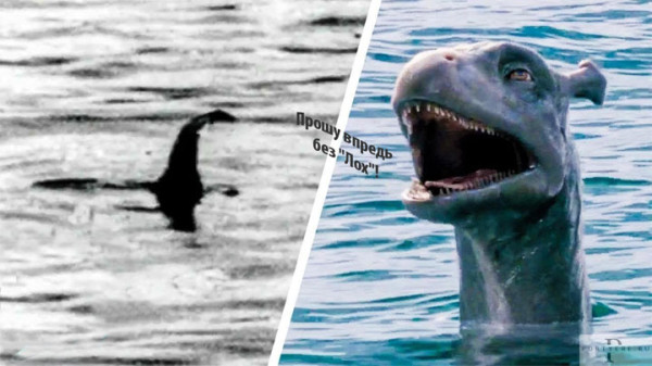 Мем: Прошу впредь без "Лох"!