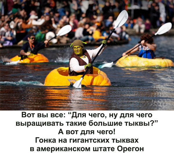 Мем, Тьмуша