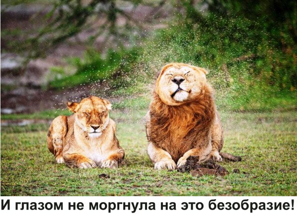 Мем, Тьмуша