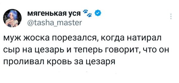 Мем, Максим Камерер