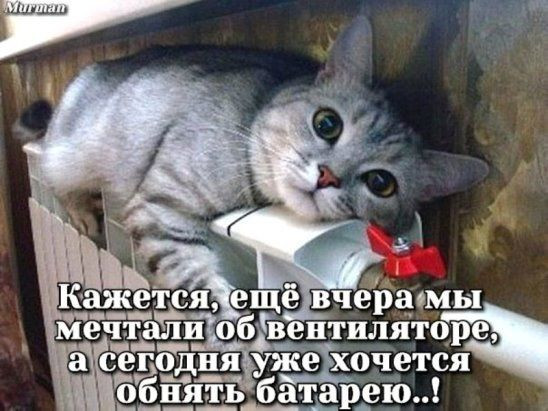 Мем: Октябрь заканчивается, совсем заканчивается, 1andreymx