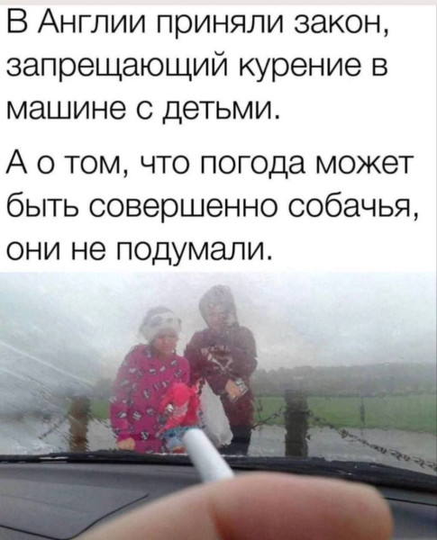 Мем, Максим Камерер