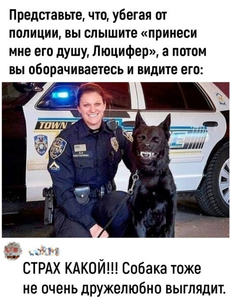 Мем, Mghost
