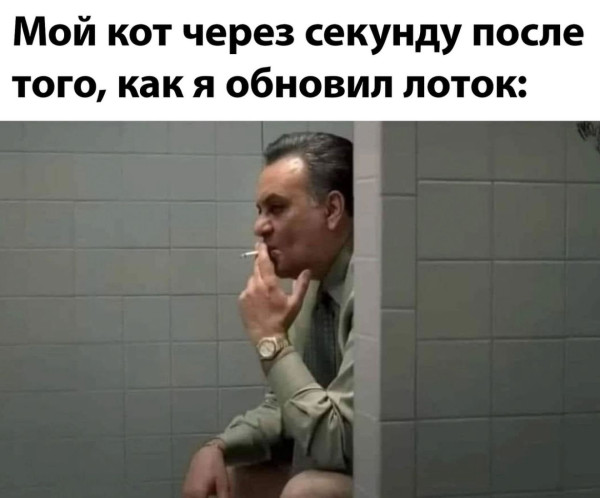 Мем: Как обычно., henh