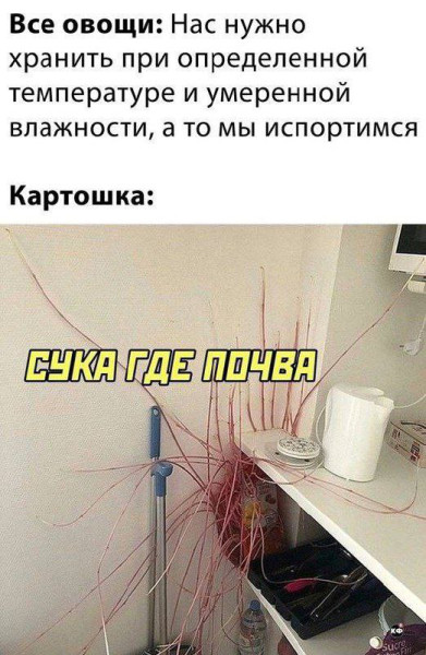 Мем, Смехалка