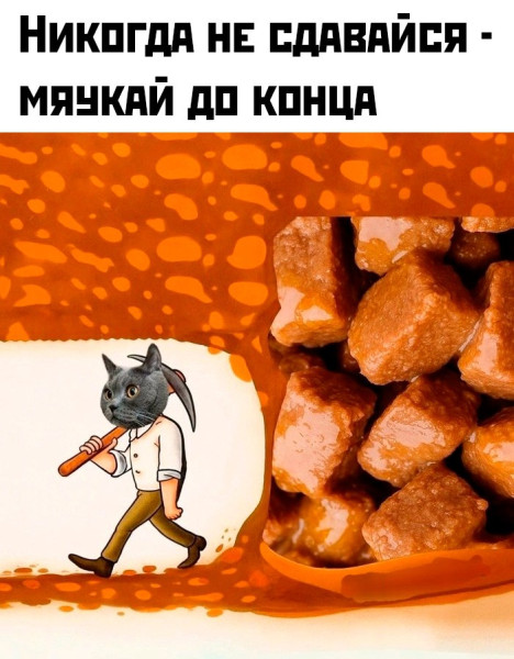 Мем: Не сдавайся., henh