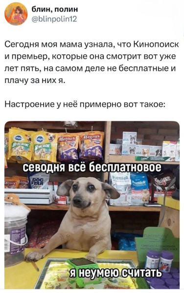 Мем: Настроение у неё примерно вот такое., henh