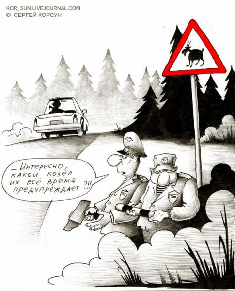 Мем: 2008, Сергей Корсун