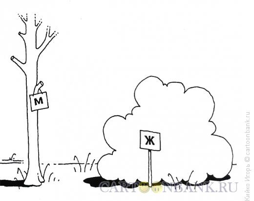 Мем: 2018. Такие правила, Кийко Игорь