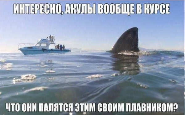 Мем, Юморист228