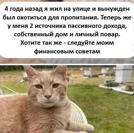 Мем, Смехалка