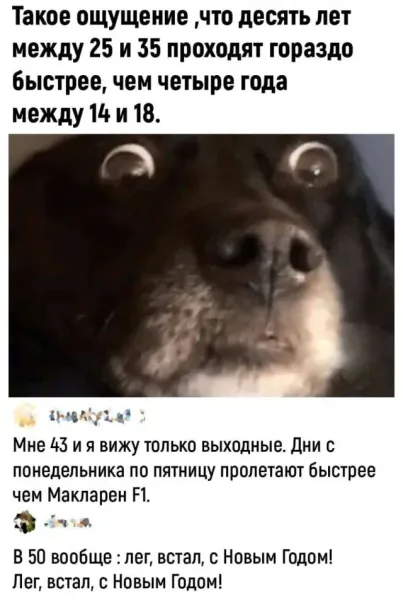 Мем, Смехалка Мем, Смехалка