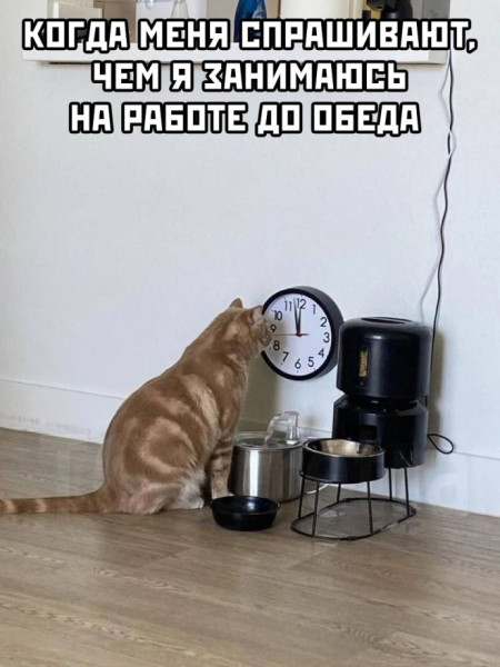 Мем, Смехалка Мем, Смехалка