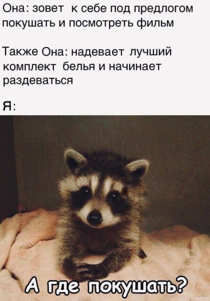 Мем: Юмор для взрослых, iteam