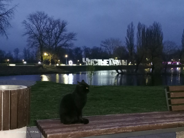 Мем: Внезапно!!!, x020pk