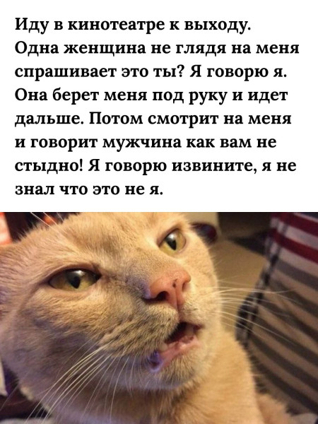 Мем: Прошу прощения, я просто не разобрался кто я., henh