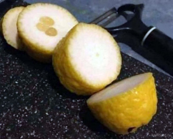 Мем: Толстокожие, Брюттон