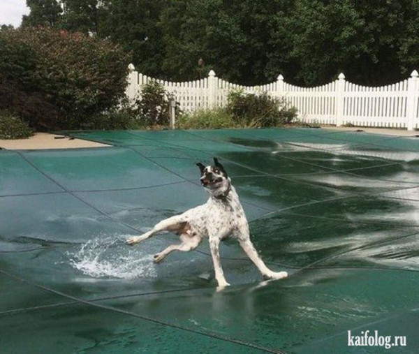 Мем: Занос, Брюттон