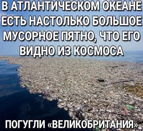 Мем, Максим Камерер