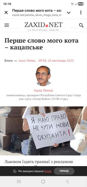 Мем: 78. Наглядно., Максим Камерер