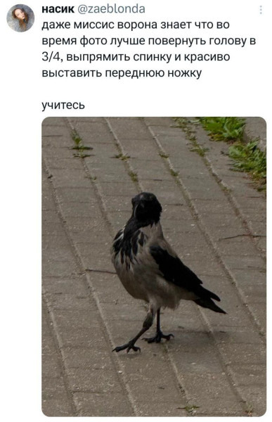 Мем, Смехалка