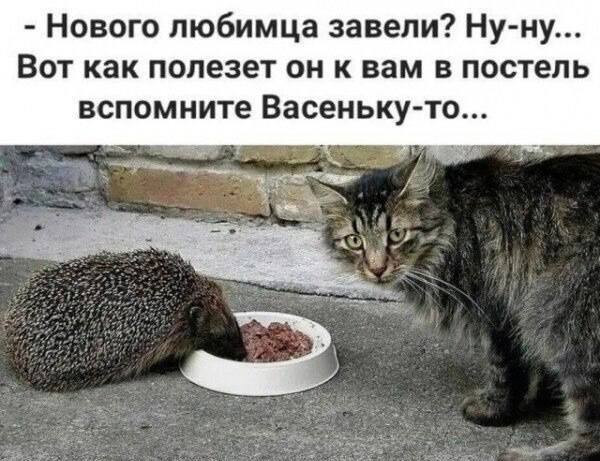 Мем, Смехалка