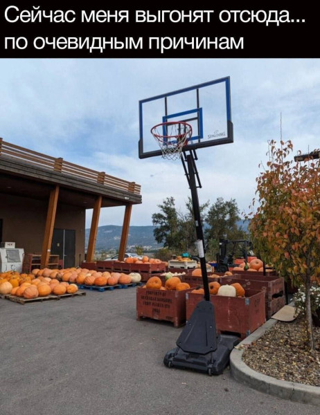 Мем: Так и манит …, henh