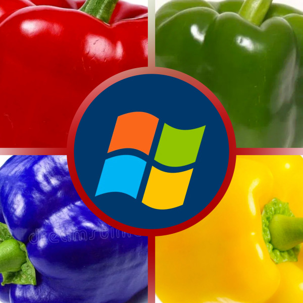 Мем: Секрет наконец раскрыт!, DVD