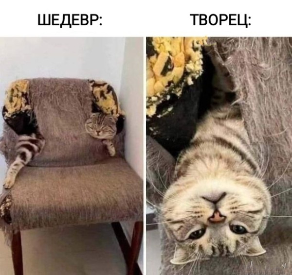 Мем, Рысь