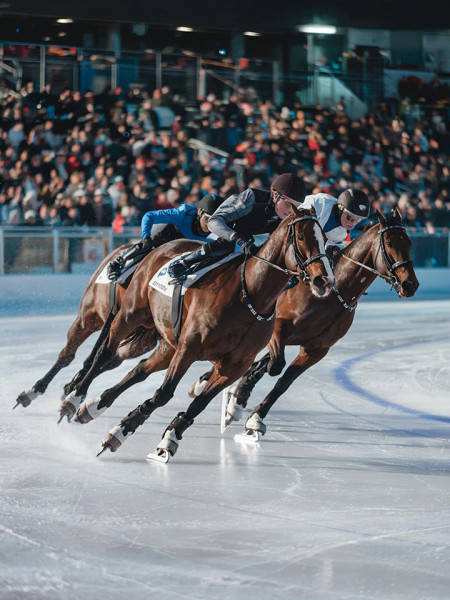 Мем, Ingrid Lovera
