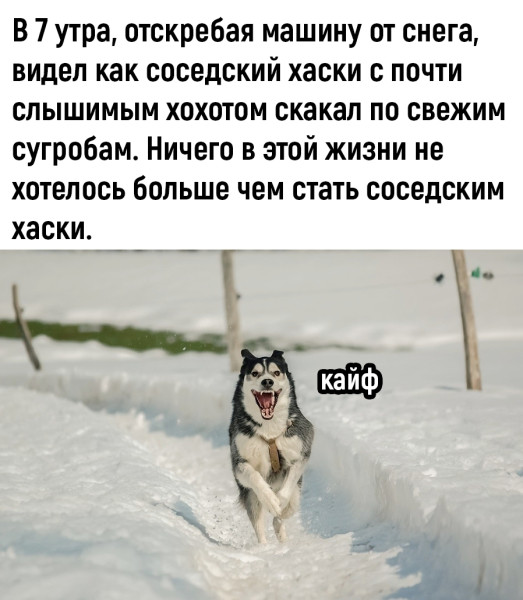 Мем: Кайф., henh