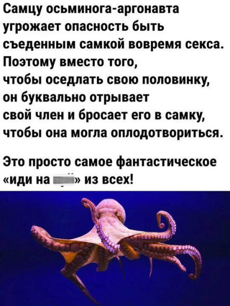 Мем, Смехалка