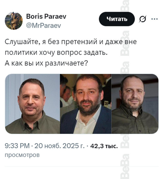 Мем, Максим Камерер