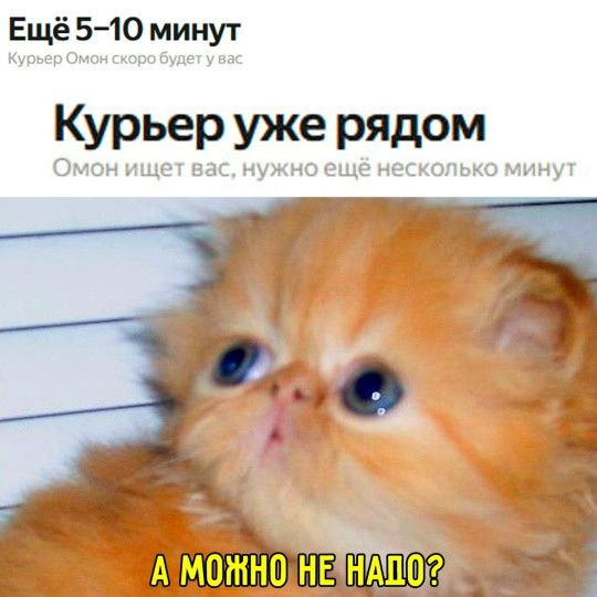 Мем, Смехалка