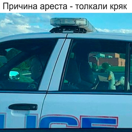 Мем, Смехалка