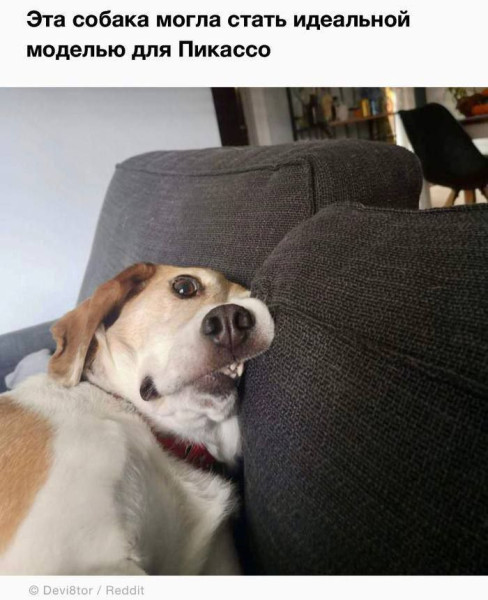 Мем, Смехалка