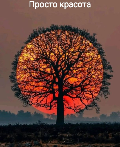 Мем, Рысь Мем, Рысь