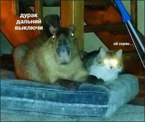 Мем, Смехалка