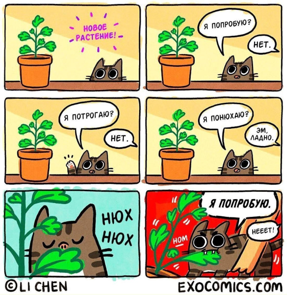 Мем: Новое растение⁠⁠., henh