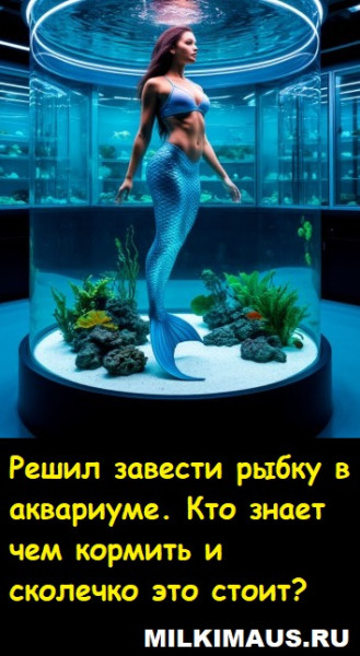 Мем, Лис Интересный