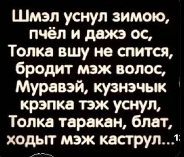 Мем: Шмэл уснул, 1andreymx