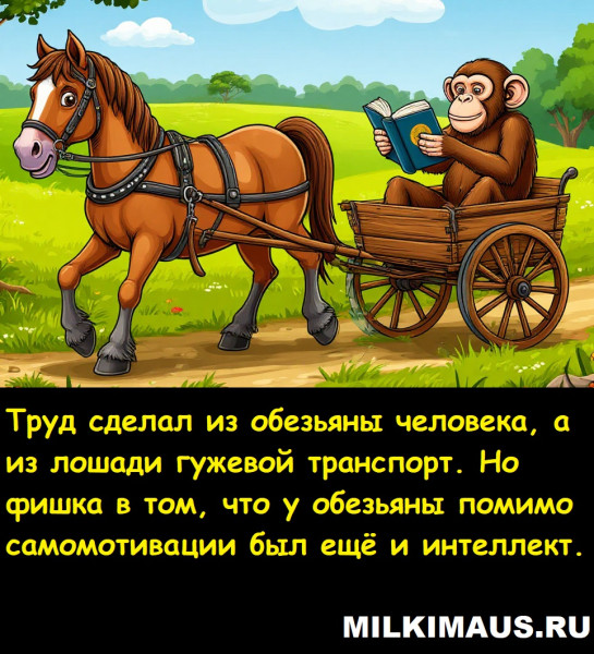 Мем, Лис Интересный