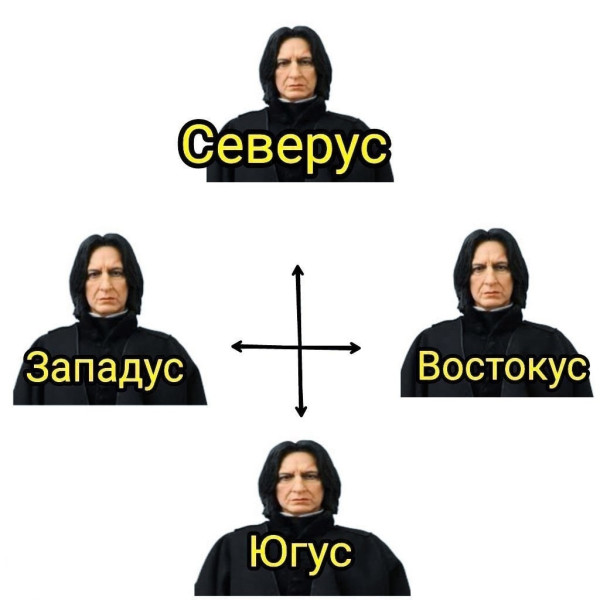 Мем: Великий Снейп., henh